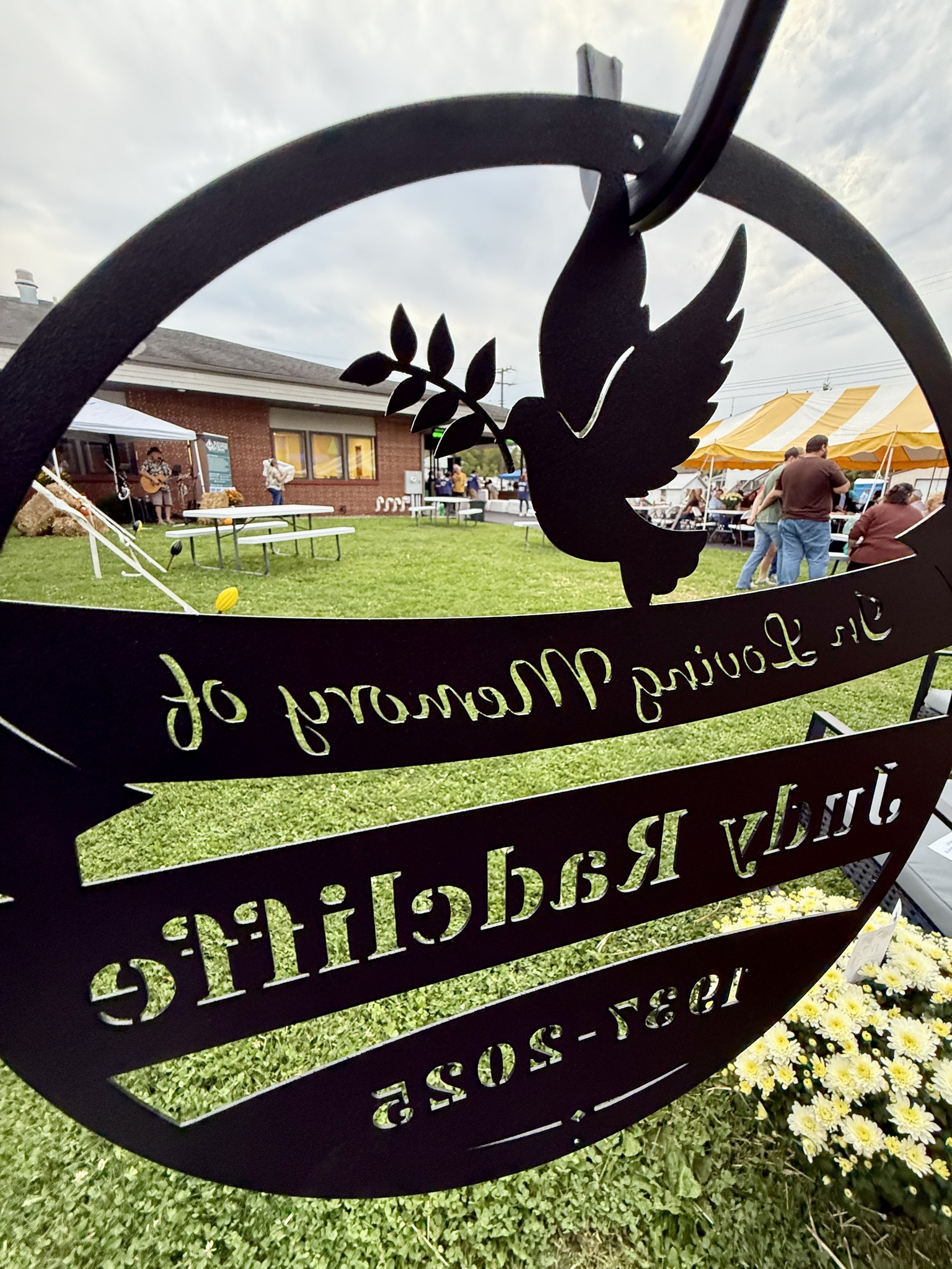 Governance and board work